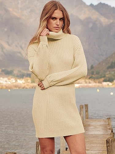 ANRABESS Women Oversized Sweater Dress Turtleneck Batwing Long Sleeve Ribbed Knit Loose 2024 Fall Winter Casual Short Dress A240zise-M Purple