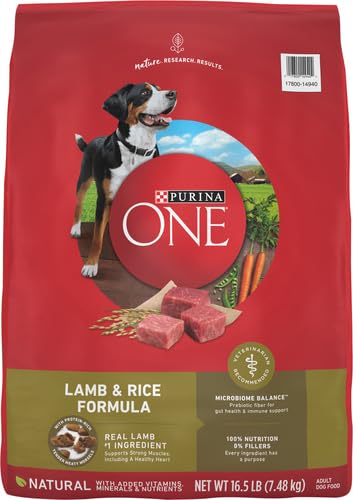 Purina ONE Dry Dog Food Lamb and Rice Formula - 16.5 lb. Bag