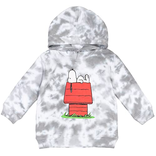 PEANUTS Snoopy Toddler Boys Fleece Pullover Hoodie Tie Dye 4T