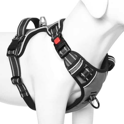 Timos Dog Harness, 3 Snap Buckles No-Pull Soft Padded Dog Vest with 2 Metal Leash Clips, Adjustable Reflective No Choke Pet Harness with Easy Control Handle for Small Dogs,Pale Pink,S