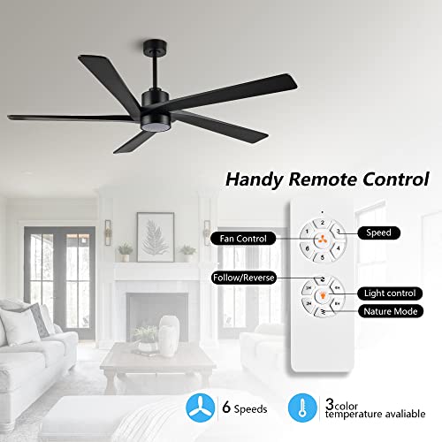 WINGBO 54" DC Ceiling Fan with Lights, 5 Carved Solid Wood Blades, 6-Speed Reversible DC Motor, Matte Black Finish Ceiling Fan with Remote, Black