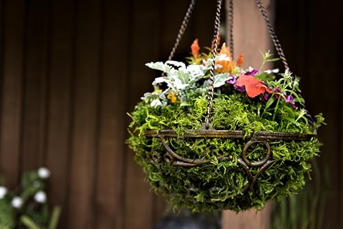 SuperMoss (25325) Forest Moss Preserved, Fresh Green, 3 Pounds