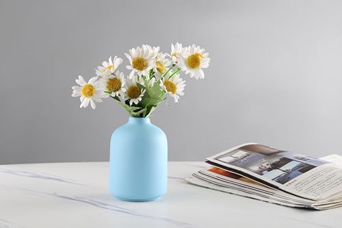 LSBTAUCP- Home Decoration Ceramic Vases, Ceramic Vases, Dried Flower vases, Living Room Decoration, Flower Arrangement Decoration Shooting Props, Coffee Table Decoration, Best Gift（ (Blue)