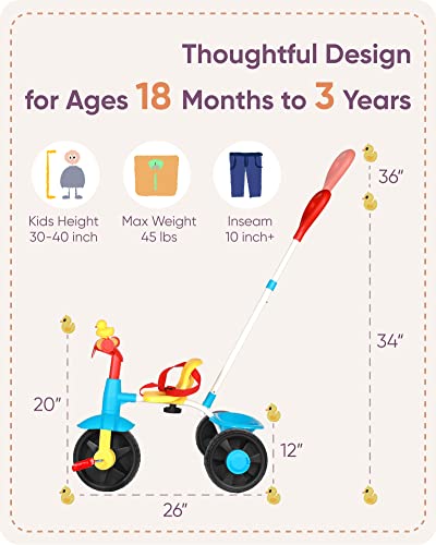 KRIDDO 2 in 1 Kids Tricycles Age 18 Month to 3 Years, Gift Toddler Tricycles for 2-3 Year Olds, Trikes for Toddlers with Push Handle and Duck Bell (Classic, EVA Wheel)
