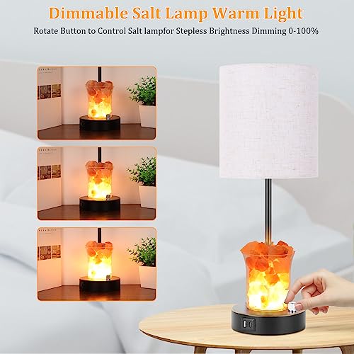 Dott Arts Touch Table Lamps with USB Ports, 3-Way Dimmable Bedside Nightstand Lamp with Salt Lamp,Table Lamps for Living Room Bedrooms Reading Room,Bulbs Included