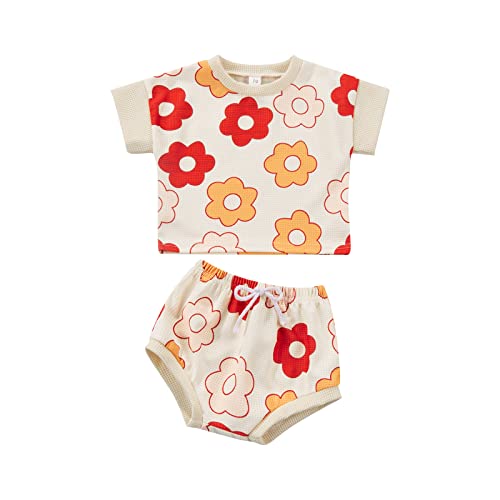 Baby Girls Outfit Set Summer Flower Printing Short Sleeve T-Shirt Tops + Elastic Waist Shorts Set (Floral White, 0-3 Months)