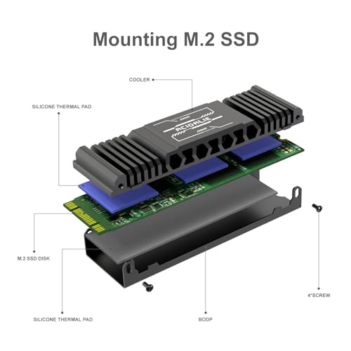 ACIDALIE Heatsink PS5 /PC | for M.2 SSD 2280 (Black)