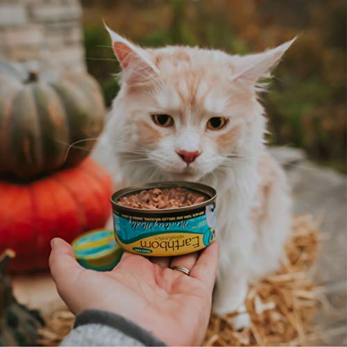 Earthborn Holistic Monterey Medley Skipjack Tuna and Grilled Mackerel Dinner Wet Cat Food, 3-Ounce Per Pacakge, 24-Pack