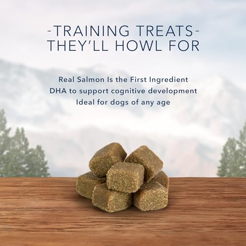 Blue Buffalo Wilderness Trail Treats Wild Bits High Protein Grain Free Soft-Moist Training Dog Treats, Salmon Recipe 10-oz Bag