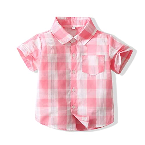 Baby Boys Dinosaur Animal Print Shirt Button Down Hawaiian Shirts Aloha Short Sleeve Party Holiday Dress Shirt (2 Years, Dinosaur 3)