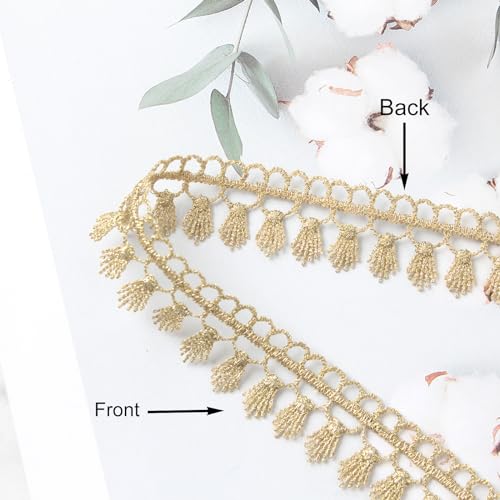 Gold Fringe Trim Tassel Lace Embroidery for Sewing DIY Craft Costume 0.78 Inch (Gold #L21 (5Yard))