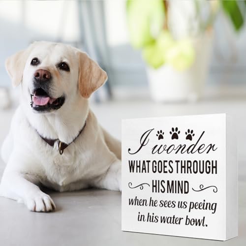 Dog Lover Desk Decor,I Wonder What Goes Through His Mind Wood Box Sign,Dog Mom Dog Dad Gifts,Gifts for Dog Lovers,Funny Dog Signs for Home Decor