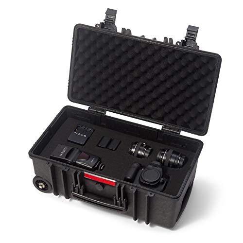 Amazon Basics Hard Camera Case with Wheels, Large, Black, Solid, 22"L x 14"W x 9.8"H