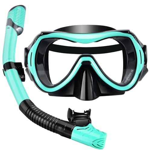 WHOHOLL Snorkeling Gear for Adults, Anti-Fog and Anti-Leak Dry Snorkel Set, 180°Panoramic Wide View Diving Mask Snorkel Kit for Snorkeling Scuba Diving Swimming Travel