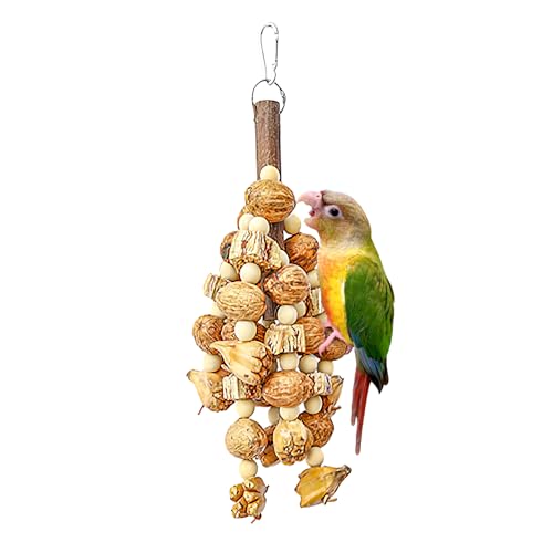 HPAWHOMEPART Large Bird Toys,Chewing Toys for Parrot,Natural Nut Hanging Toys for Parakeet,Lovebirds,Finch,Macaws,Cockatiel