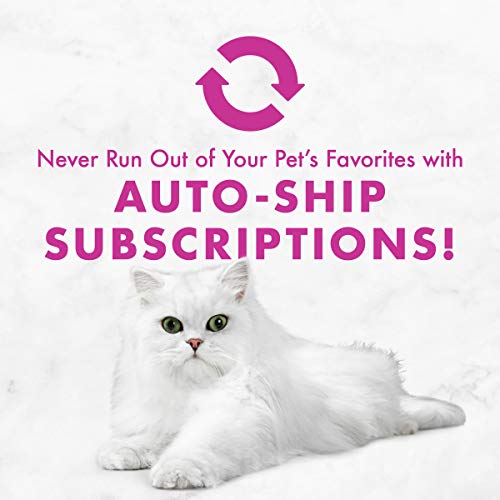 Purina Fancy Feast Kitten Tender Ocean Whitefish Feast and Tender Turkey Feast Wet Kitten Food Variety Pack - (2 Packs of 12) 3 oz. Cans