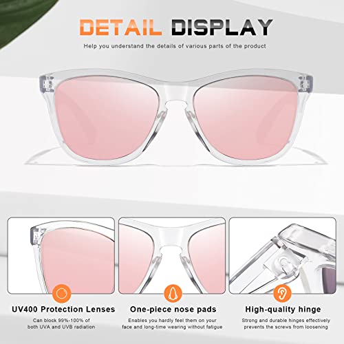 DANAMY Sunglasses Womens Polarized Sunglasses for Women Men Classic Retro Designer Style Trendy Mirrored Sun Glasses