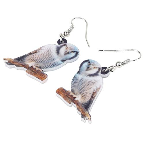 BONSNY Drop Dangle Cute Fun Brown Owl Earrings Bird Jewelry For Women Gift Charms (Arctic)