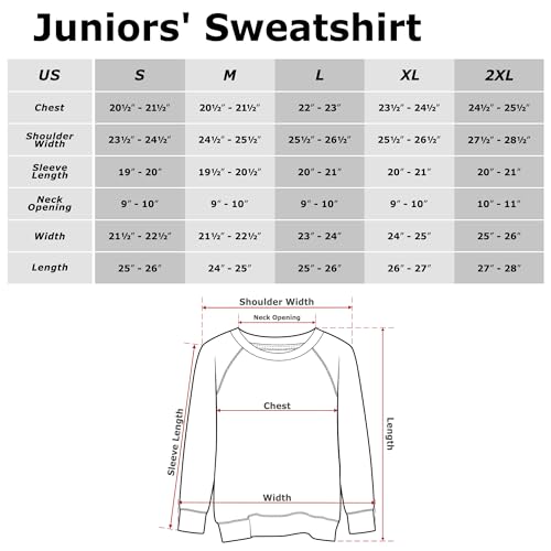 Star Wars Women's Park Ranger Junior's Raglan Pullover with Coverstitch, Gray Heather, Small