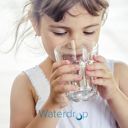 [Original] Waterdrop WD-PF-01A Plus NSF Certified Replacement Filters for All Waterdrop Pitcher Filtration System, Reduces PFAS, PFOA/PFOS, Chlorine, Last Up to 3 Months or 200 Gallons, 1 Pack