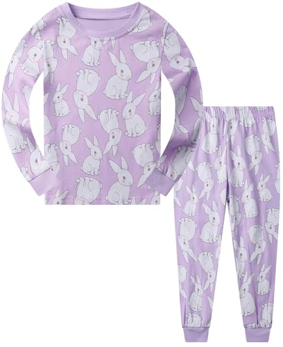 Little Girls Pajamas Toddler Fairy Pjs 100% Cotton Long Sleeve Sleepwear Pj Set Kids Ballerina Pjs Winter Clothes Set 3T 2012