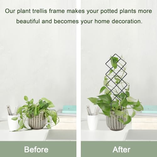 WellSign Metal Trellis for Climbing Plants Indoor, 16.36 inch Small Trellis for Potted Plants Geometric Shape Lattice for Ivy Vines Hoya Houseplants Flower 2 Pack