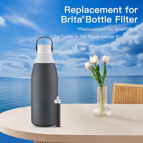 FACHIOO Water Bottle Filter, Replacement for Brita Water Filter Compatible with Brita BB06 Hard Sided, Stainless Steel and Sport Bottle Filter, Plastic Bottle Filter, 10 Packs