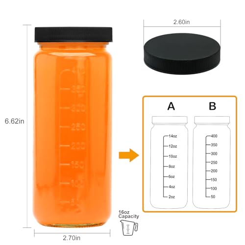 Salzesfalls 16oz Glass Juice Bottles with Lids,Reusable Juice Bottles,Glass Bottles for Juicing,Milk Tea,Smoothies,Ice Tea,Beverages Bottles,Set of 12