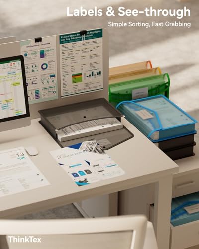 ThinkTex Plastic Expanding File Folder, Transparent envelopes with Snap Closure,No Dividers,Large Capacity,Document Organizer for Receipts, Bills&Taxes,Letter/A4 Size for School/Office/Home-10 Pack