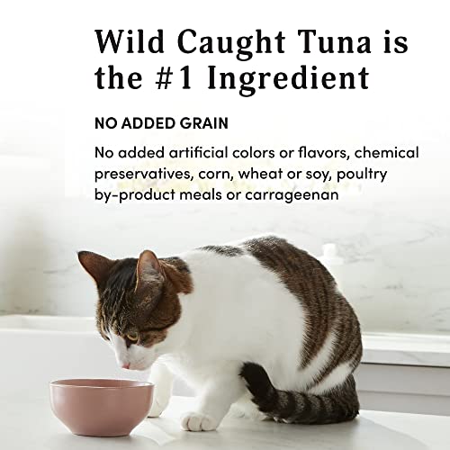 Amazon Brand - Kitzy High Protein, Grain Free Wet Cat Food, Wild Caught Tuna in Gravy, 3 oz (Pack of 24)