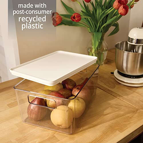 Rosanna Pansino x iDesign Recycled Plastic Kitchen Storage Bin with Lid, Clear Bin/Marshmallow Lid, 6" x 12" x 6"