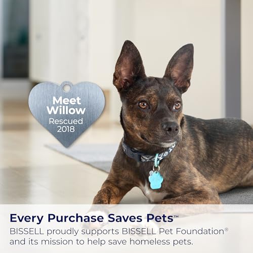 Bundle of Bissell Little Green Pet Deluxe Portable Carpet Cleaner and Car/Auto Detailer, 3353, Gray/Blue + BISSELL Pet Pro Oxy Spot & Stain