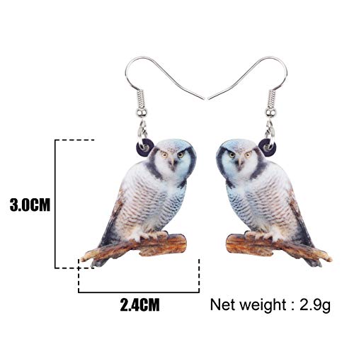 BONSNY Drop Dangle Cute Fun Brown Owl Earrings Bird Jewelry For Women Gift Charms (Arctic)