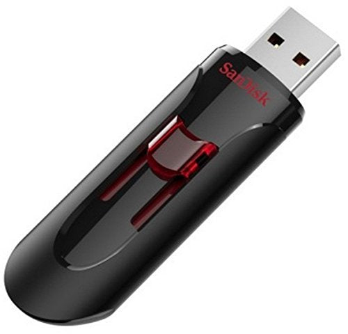 SanDisk 16GB (10 Pack) Cruzer Glide USB 3.0 Flash Drive SDCZ600-016G-B35 Bundle with (5) GoRAM Black Lanyards (16GB, 10 Pack)