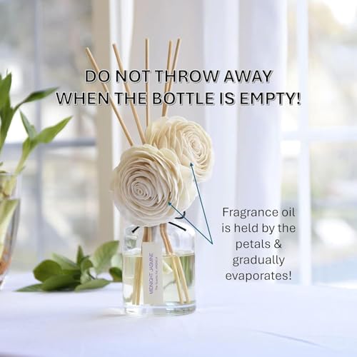 Aronica Twin Sola Diffuser 160ml_Eucalyptus and Bergamot Scent Sticks Oil Diffuser for Modern Home Shelf Decor, Entryway Table Fragrance for Aesthetic Bedroom