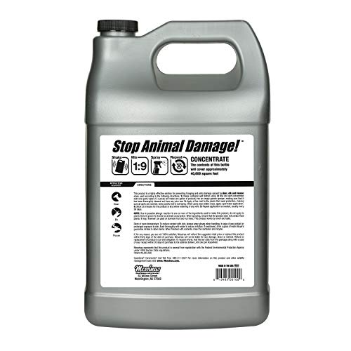 Messina DSC128 1 Gallon Concentrate Deer Stopper