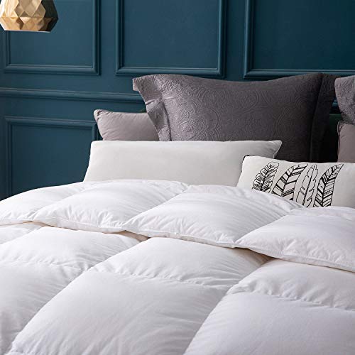 Globon Goose Down Comforter Queen Size All Season Down Duvet Insert,400 Thread Count Ultra Soft Noiseless Shell,800 Fill Power with Corner Tabs,White