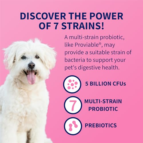 Nutramax Proviable Digestive Health Supplement Multi-Strain Probiotics and Prebiotics for Cats and Dogs - With 7 Strains of Bacteria, 30 Capsules