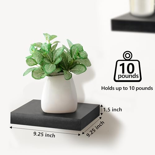 Sorbus Square Floating Shelf for Wall - 3 Small Shelves with Invisible Mounting Brackets for Living Room Decor, Bedroom, Bathroom Decor, Home & Kitchen - 9" Black Wall Shelf to Display Photos Trophies