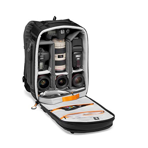 Lowepro Camera & Photo BP 350 AW II-New, Grey