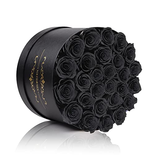 NATROSES Forever Preserved Roses in a Box, 100% Real Roses That Last Up to 3 Years, Preserved Flowers for Delivery Prime Birthday, Valentines Day Gifts for Her (Black)
