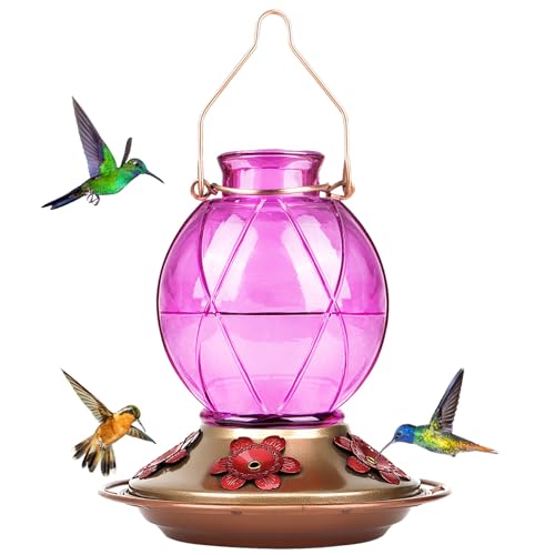 BOLITE Hummingbird Feeder, Glass Hummingbird Feeders for Outdoors Hanging, Hand Blown Glass, Five Feeding Ports with Perch, 20 Ounces, Leak Proof, Red