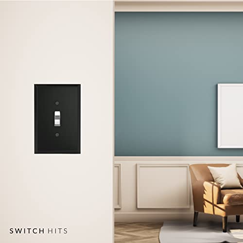 Switch Hits Black Glass Mirror Double Light Switch Cover Plate | 2 Toggle | 5.25" x 5.25" | Professional Quality Glass Mirror Switch Wall Plate Covers For All Configurations