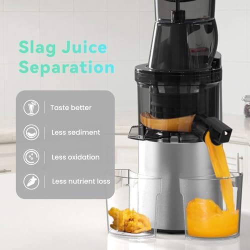 Masticating Juicer Machines, 4.1-inch(104mm) Powerful Slow Cold Press Juicer with Large Feed Chute,Easy to Clean with Brush