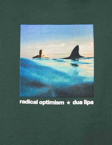Dua Lipa unisex-adult Standard Official Merch Radical Optimism Hoodie, Slate