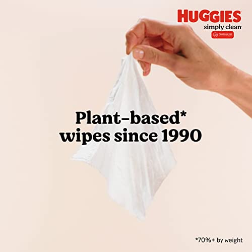 Huggies Simply Clean Fragrance-Free Baby Wipes, Unscented Diaper Wipes, 64 Count(Pack of 11) (704 Wipes Total)