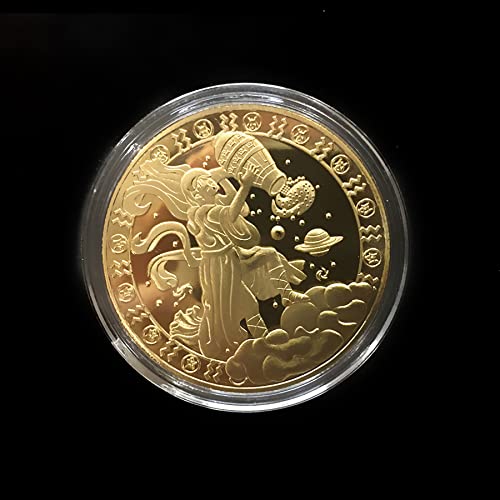 12 Constellation Challenge Coin Gold-Plated Lucky Coin, Birthday Present Gift for Him or Her (Aquarius)