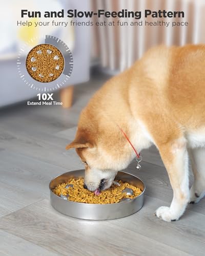Oiwliur Slow Feeder Dog Bowls - Stainless Steel Non-Slip Metal Slow Feeding Bowl Suitable for Dry, Wet, or Raw Food, 5 Cups Large Capacity Dog Bowl, Double-Sided Design Ideal for All Dog Sizes