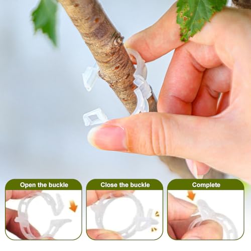 Plant Support Clips,100/150/300 PCS Plant Clips for Climbing Plants Clear Plant Clips,Garden Clips Plant Support Clips Plant Clips Plant Support Garden Clips Vine Fixing Clip for Plants (Green-100pcs)