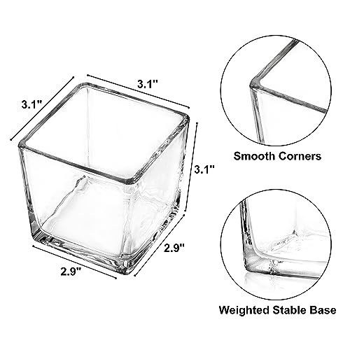 Comrzor Set of 6 Square Glass Vases 3" x3" x 3", Clear Flower Vases for Centerpieces, Candle Holder for Wedding Party Events, Home Décor